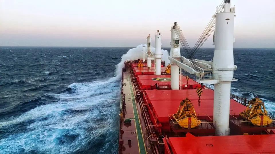 photo_2024-12-24 12.07.12